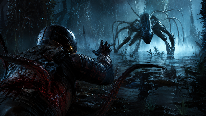 The Second Hunt